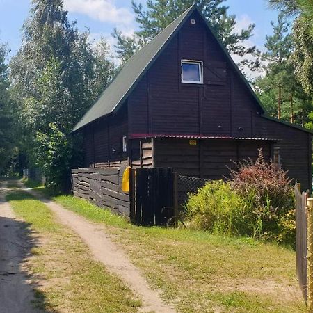 Domki Nad Jeziorem, Las, Do 10 Osob Jezioro Wilczynskie Budzislawskie - Domek Letniskowy Osobno Ogrodzony, Ogrzewany Mile Widziane Pieski, Zwierzeta- Wielkopolska, 62-550 Zygmuntowo Gm Wilczyn Eksteriør bilde