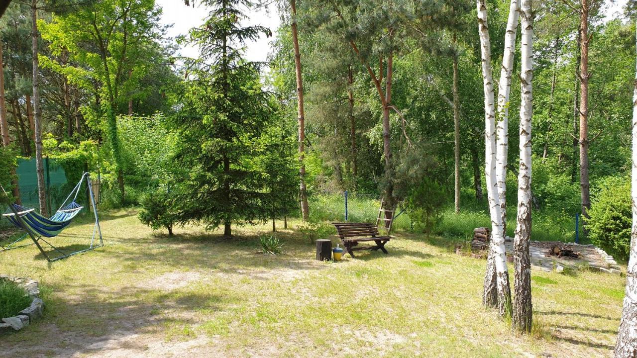Domki Nad Jeziorem, Las, Do 10 Osob Jezioro Wilczynskie Budzislawskie - Domek Letniskowy Osobno Ogrodzony, Ogrzewany Mile Widziane Pieski, Zwierzeta- Wielkopolska, 62-550 Zygmuntowo Gm Wilczyn Eksteriør bilde