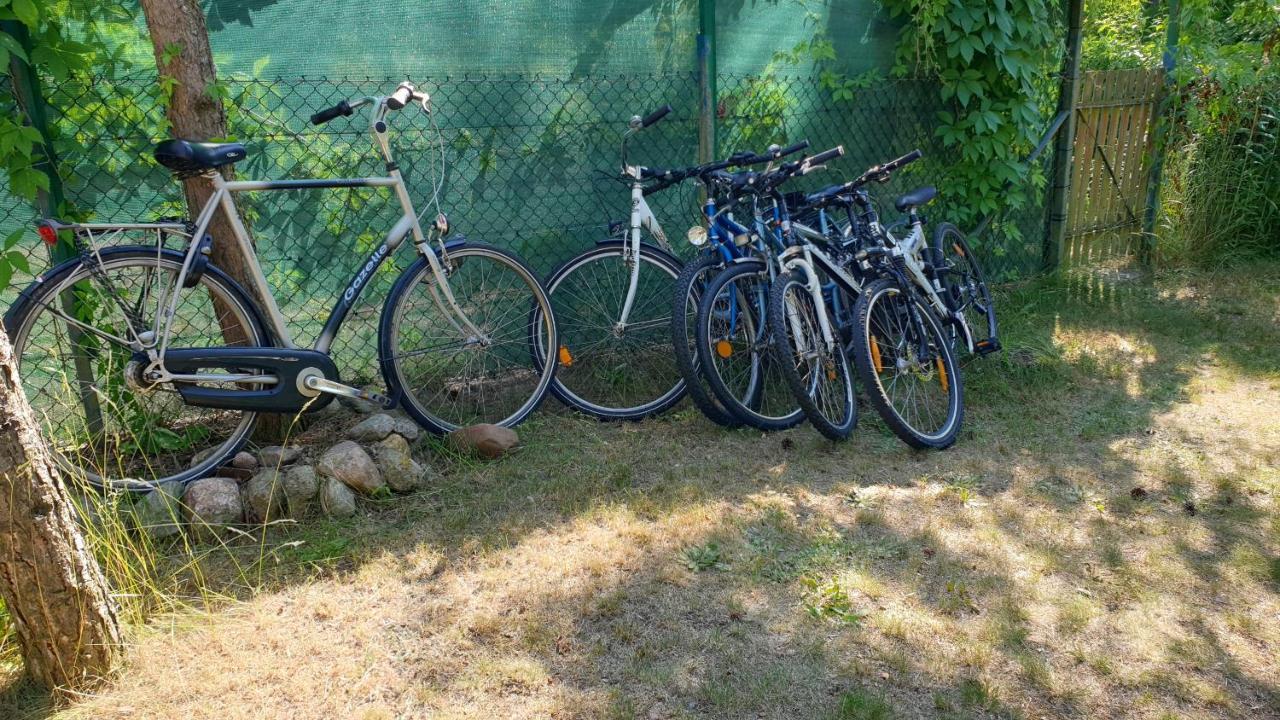 Domki Nad Jeziorem, Las, Do 10 Osob Jezioro Wilczynskie Budzislawskie - Domek Letniskowy Osobno Ogrodzony, Ogrzewany Mile Widziane Pieski, Zwierzeta- Wielkopolska, 62-550 Zygmuntowo Gm Wilczyn Eksteriør bilde