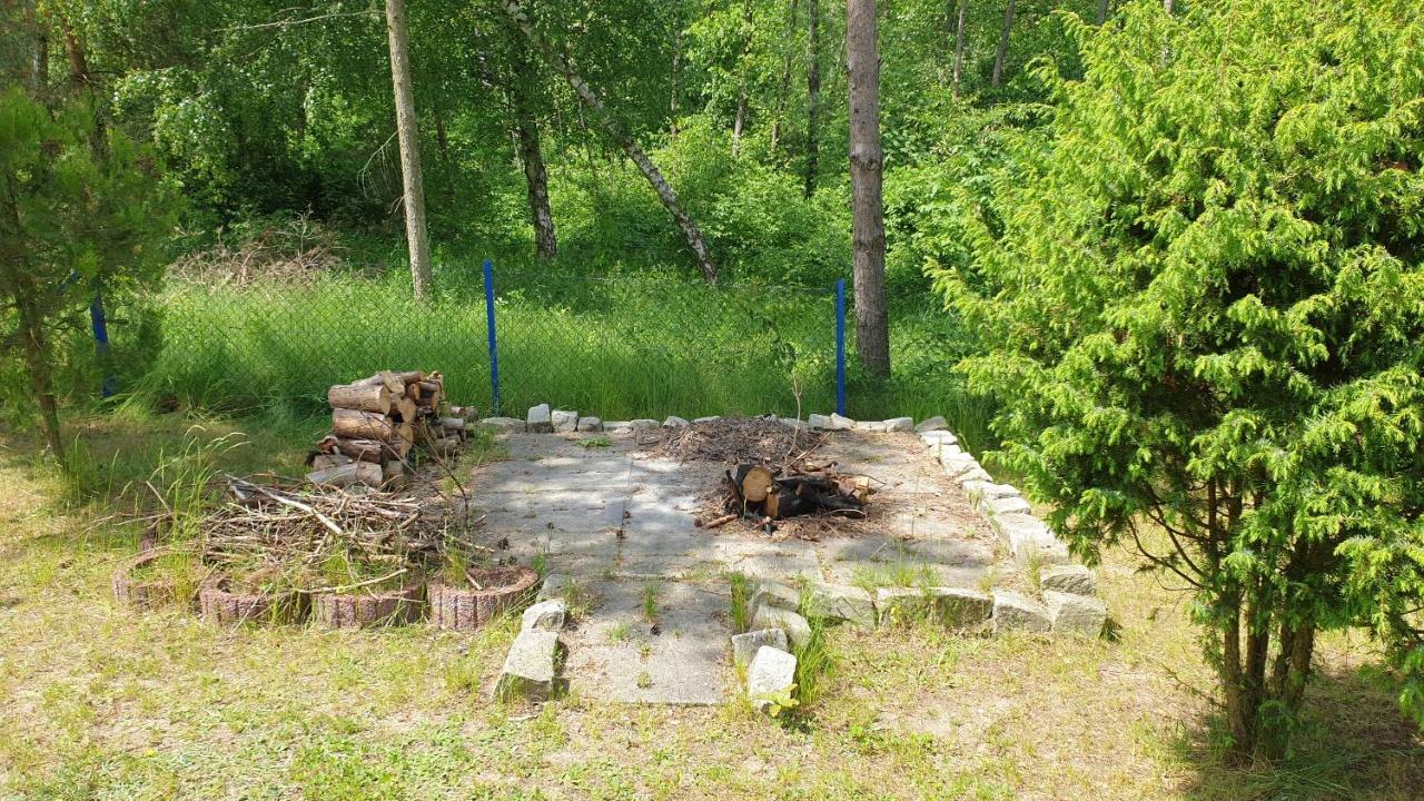 Domki Nad Jeziorem, Las, Do 10 Osob Jezioro Wilczynskie Budzislawskie - Domek Letniskowy Osobno Ogrodzony, Ogrzewany Mile Widziane Pieski, Zwierzeta- Wielkopolska, 62-550 Zygmuntowo Gm Wilczyn Eksteriør bilde