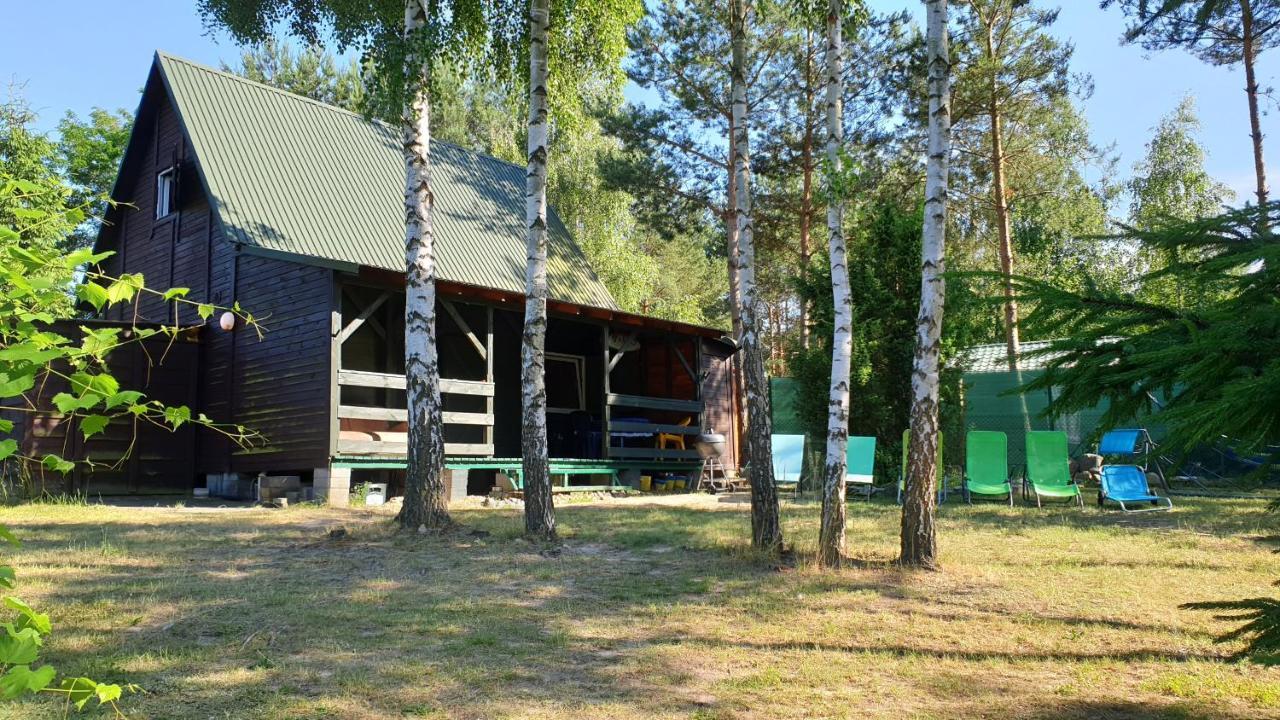 Domki Nad Jeziorem, Las, Do 10 Osob Jezioro Wilczynskie Budzislawskie - Domek Letniskowy Osobno Ogrodzony, Ogrzewany Mile Widziane Pieski, Zwierzeta- Wielkopolska, 62-550 Zygmuntowo Gm Wilczyn Eksteriør bilde